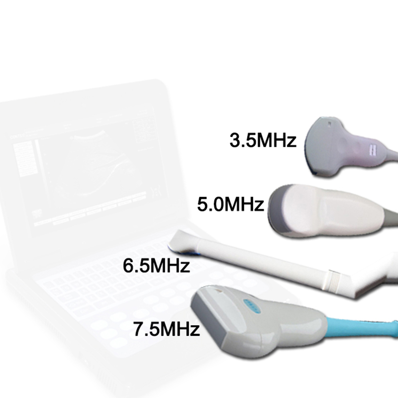 動物用超音波診断システム CMS600P2VET