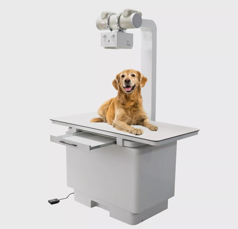Cupabear Veterinary X-rayマシン
