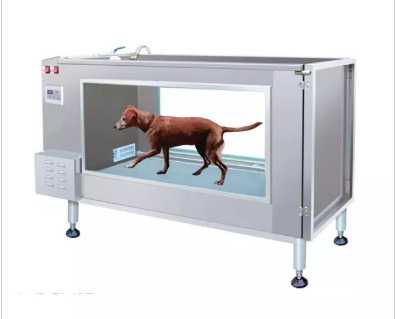 犬の水中トレッドミル療法機